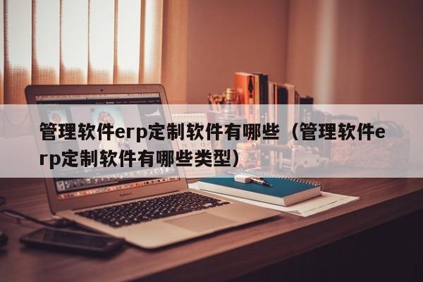 管理软件erp定制软件有哪些（管理软件erp定制软件有哪些类型）