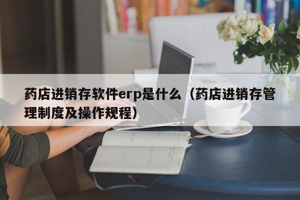 药店进销存软件erp是什么（药店进销存管理制度及操作规程）