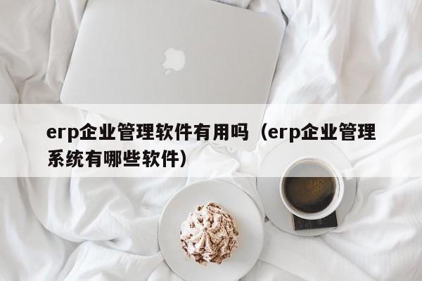 erp企业管理软件有用吗（erp企业管理系统有哪些软件）