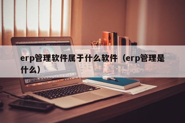 erp管理软件属于什么软件（erp管理是什么）