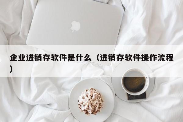 企业进销存软件是什么（进销存软件操作流程）