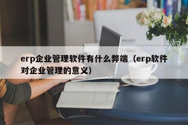 erp企业管理软件有什么弊端（erp软件对企业管理的意义）