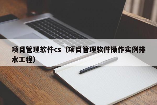 项目管理软件cs（项目管理软件操作实例排水工程）