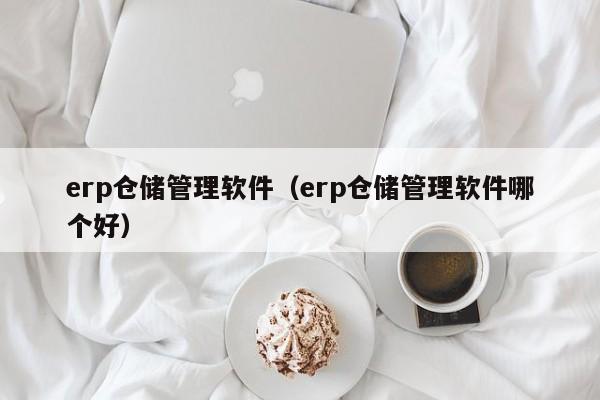 erp仓储管理软件（erp仓储管理软件哪个好）