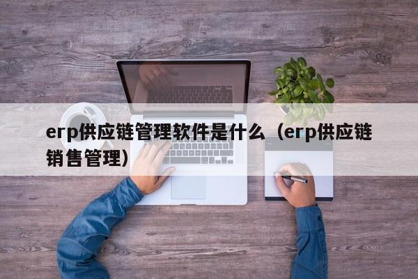 erp供应链管理软件是什么（erp供应链销售管理）