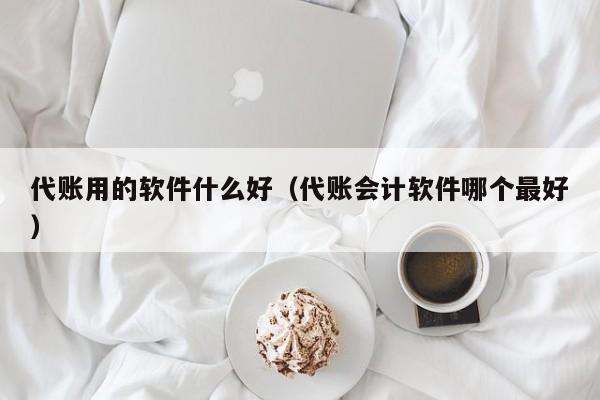 代账用的软件什么好（代账会计软件哪个最好）