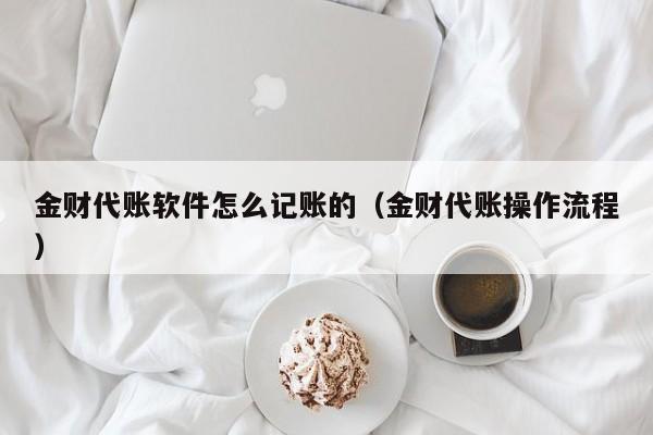 金财代账软件怎么记账的（金财代账操作流程）