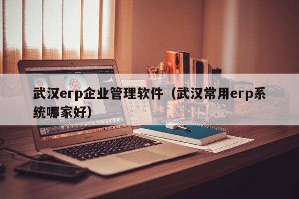 武汉erp企业管理软件（武汉常用erp系统哪家好）