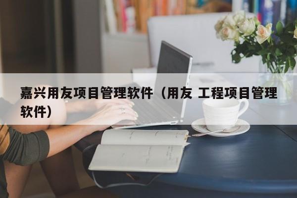 嘉兴用友项目管理软件（用友 工程项目管理软件）