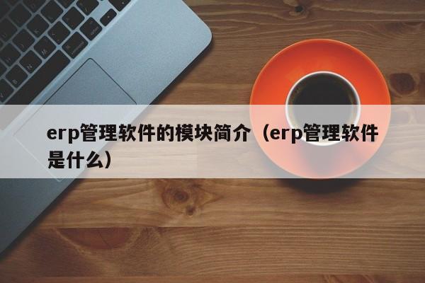 erp管理软件的模块简介（erp管理软件是什么）