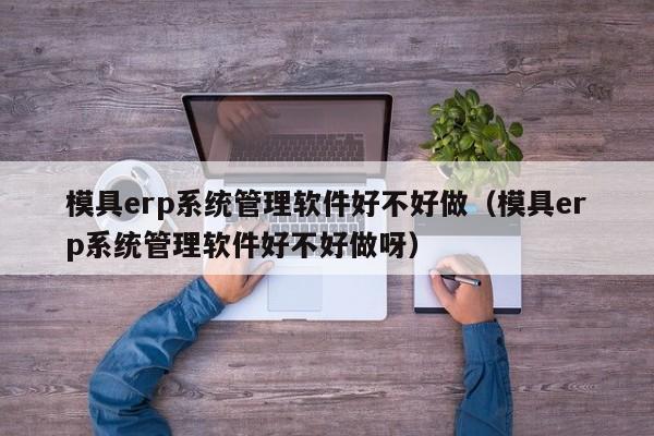 模具erp系统管理软件好不好做（模具erp系统管理软件好不好做呀）