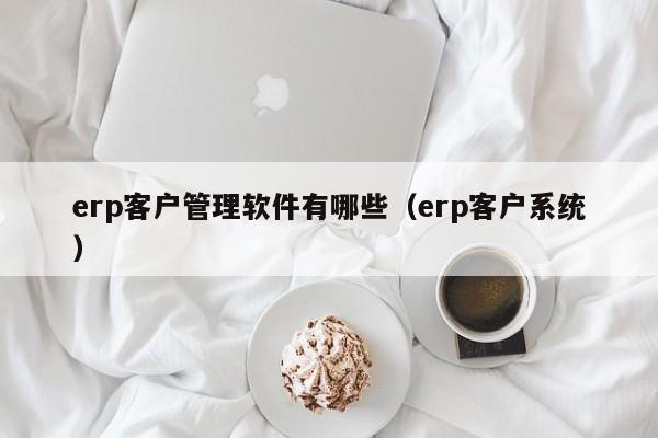 erp客户管理软件有哪些（erp客户系统）