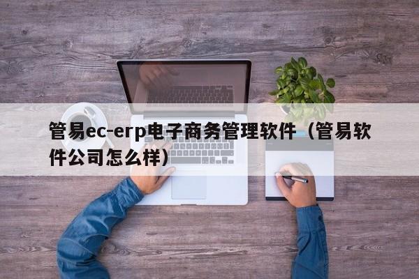 管易ec-erp电子商务管理软件（管易软件公司怎么样）