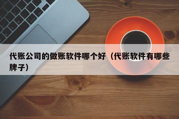 代账公司的做账软件哪个好（代账软件有哪些牌子）