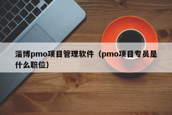 淄博pmo项目管理软件（pmo项目专员是什么职位）