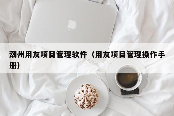 潮州用友项目管理软件（用友项目管理操作手册）