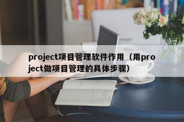 project项目管理软件作用（用project做项目管理的具体步骤）