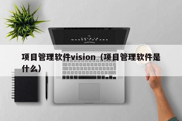 项目管理软件vision（项目管理软件是什么）