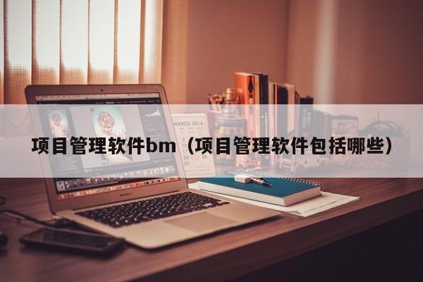 项目管理软件bm（项目管理软件包括哪些）