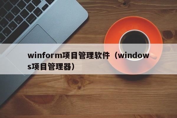 winform项目管理软件（windows项目管理器）