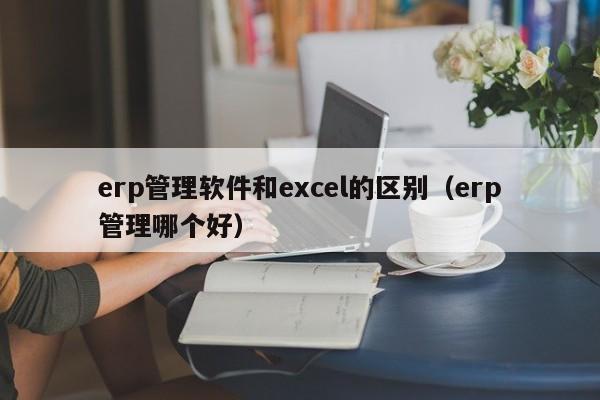 erp管理软件和excel的区别（erp管理哪个好）