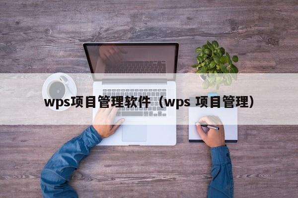 wps项目管理软件（wps 项目管理）