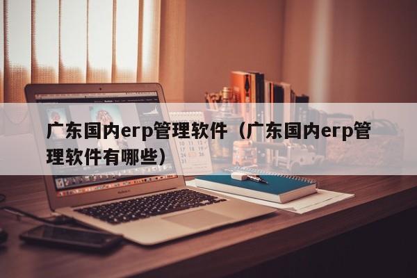 广东国内erp管理软件（广东国内erp管理软件有哪些）