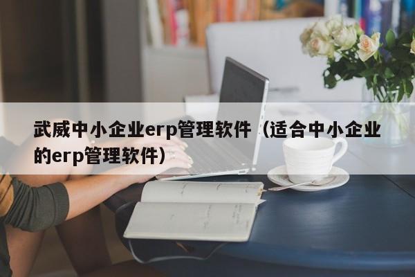 武威中小企业erp管理软件（适合中小企业的erp管理软件）