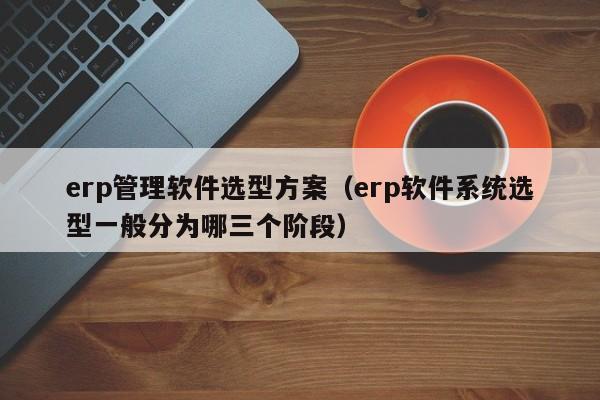 erp管理软件选型方案（erp软件系统选型一般分为哪三个阶段）