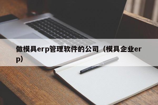 做模具erp管理软件的公司（模具企业erp）