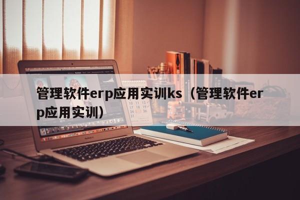 管理软件erp应用实训ks（管理软件erp应用实训）