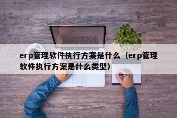 erp管理软件执行方案是什么（erp管理软件执行方案是什么类型）