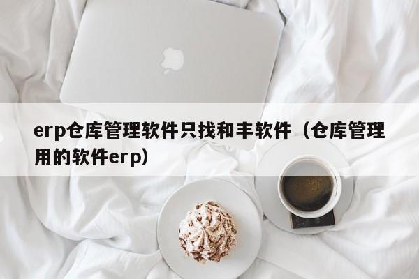 erp仓库管理软件只找和丰软件（仓库管理用的软件erp）