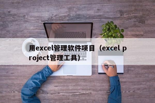 用excel管理软件项目（excel project管理工具）