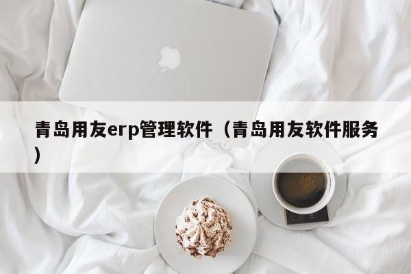 青岛用友erp管理软件（青岛用友软件服务）