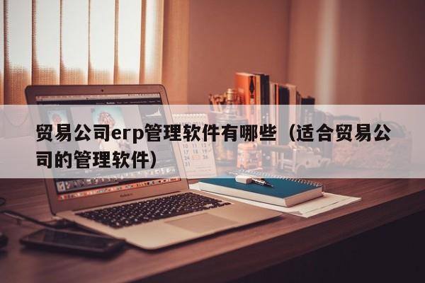 贸易公司erp管理软件有哪些（适合贸易公司的管理软件）