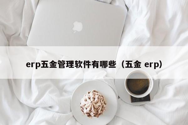 erp五金管理软件有哪些（五金 erp）