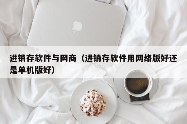 进销存软件与网商（进销存软件用网络版好还是单机版好）