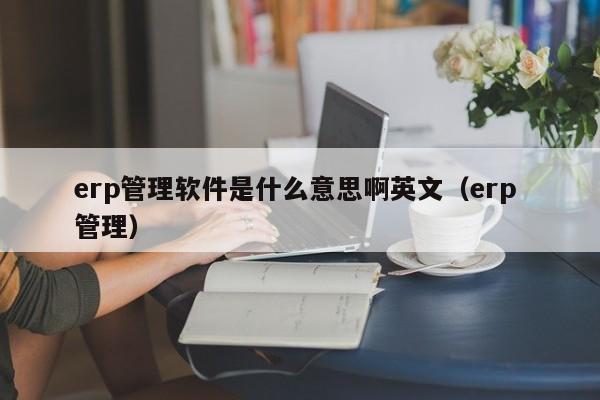 erp管理软件是什么意思啊英文（erp 管理）