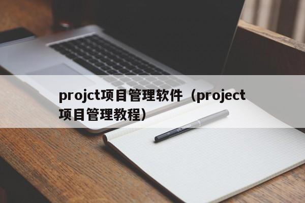 projct项目管理软件（project项目管理教程）