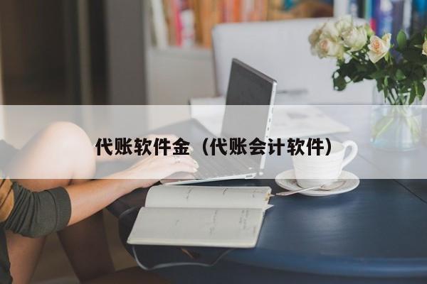 代账软件金（代账会计软件）