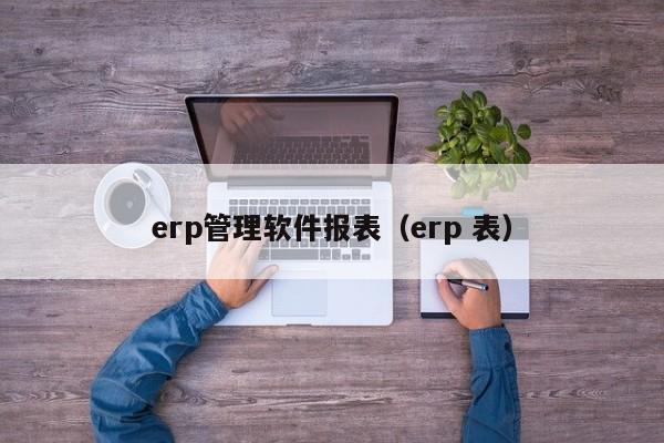 erp管理软件报表（erp 表）