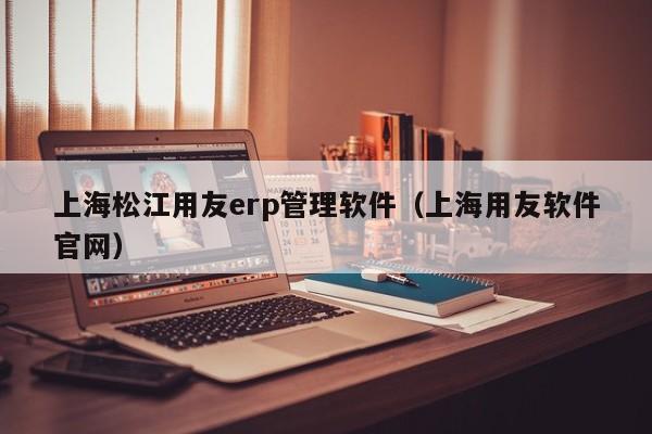 上海松江用友erp管理软件（上海用友软件官网）