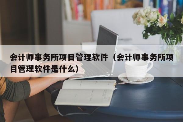 会计师事务所项目管理软件（会计师事务所项目管理软件是什么）