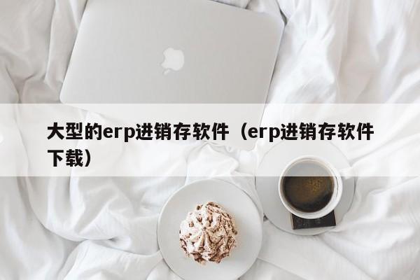 大型的erp进销存软件（erp进销存软件下载）