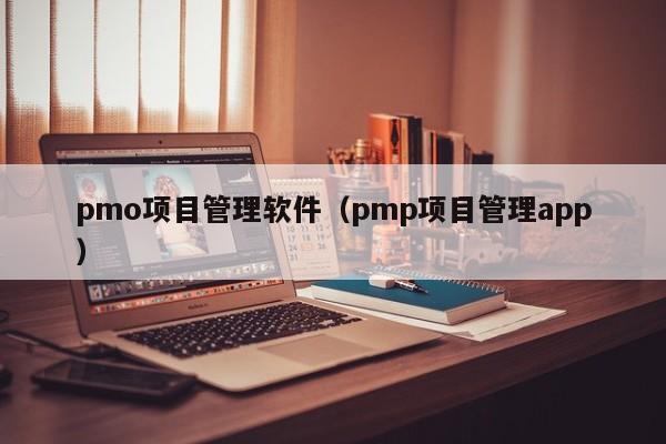 pmo项目管理软件（pmp项目管理app）