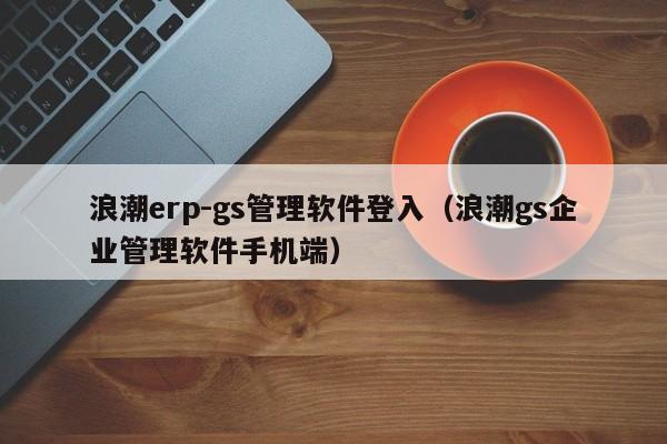 浪潮erp-gs管理软件登入（浪潮gs企业管理软件手机端）