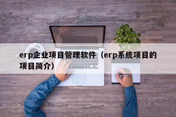 erp企业项目管理软件（erp系统项目的项目简介）