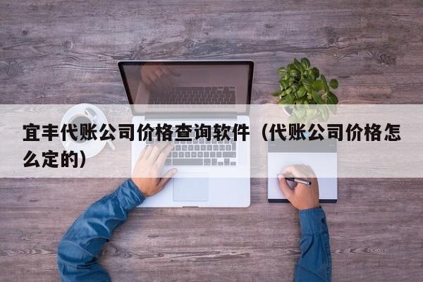 宜丰代账公司价格查询软件（代账公司价格怎么定的）