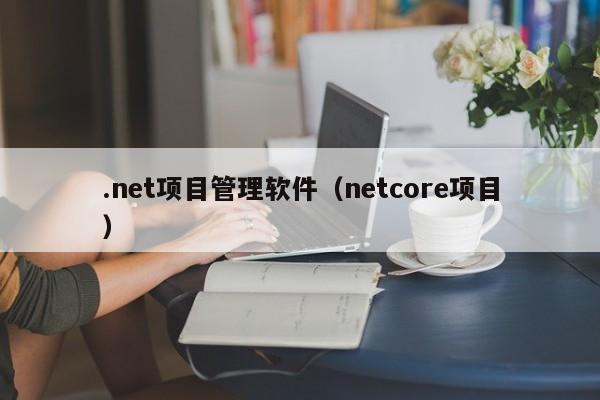 .net项目管理软件（netcore项目）